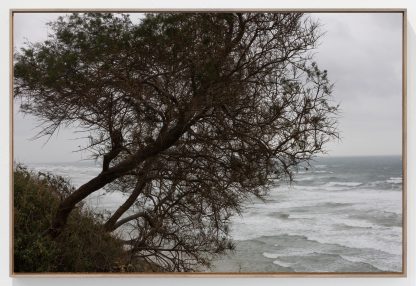 ⁦לנה גומון⁩ – תמונה ⁦2⁩